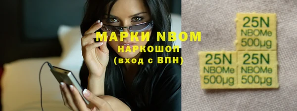 гашик Коряжма