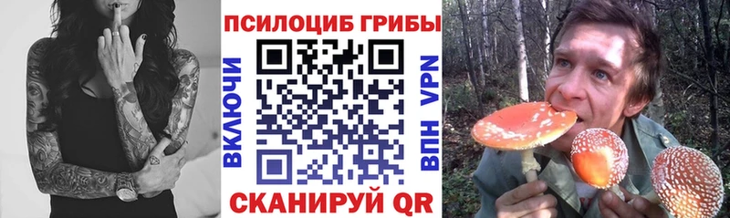 как найти наркотики  Лахденпохья  Галлюциногенные грибы мицелий 